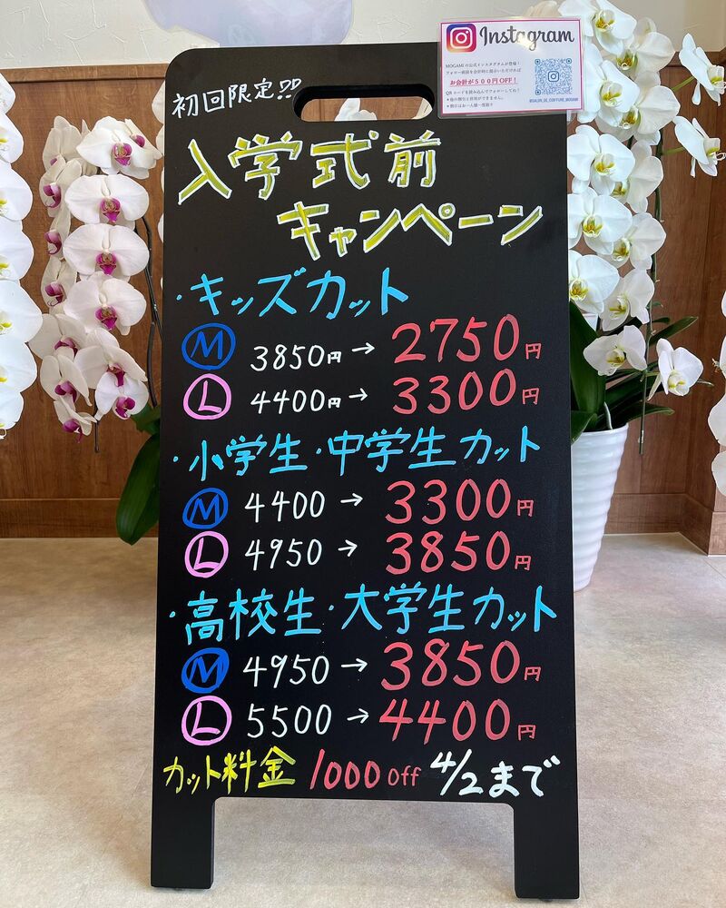 画像1338